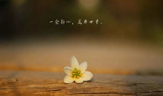 心境是什么意思