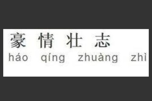 豪情壮志的意思?