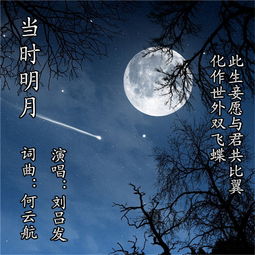 当时明月作家简介，当时明月小说免费阅读