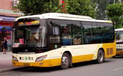 926路公交车路线路线查询，蓝田县926路公交车路线
