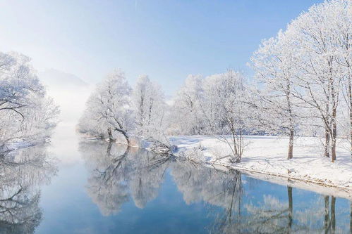 玩雪的英文是什么?