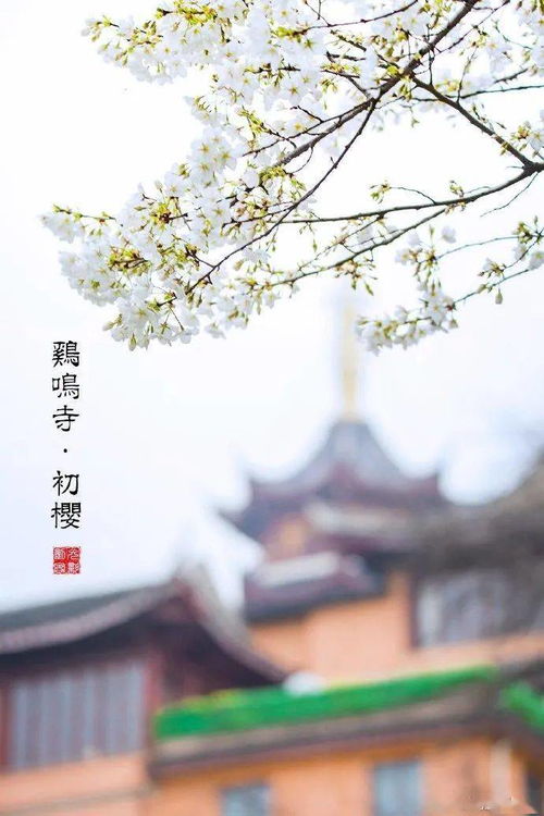 "昨夜下了一衣雨,走起路来脚挂泥"的歌名是什么呀,谢谢