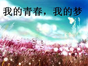 《我的青春我的梦》征文