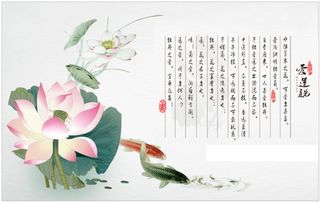 爱莲说原文及翻译一句一译，陋室铭原文及翻译