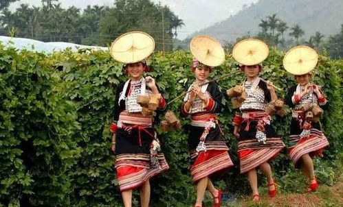 鲁班是怎样根据茅草叶发明了锯?