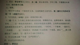 关于阳光作文600字5篇