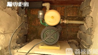 为什么上海市民要抢水呢?上海辟谣:上海自来水供应正常有序!你怎么看