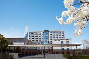武藏野大学入学条件，武藏野美术大学学费