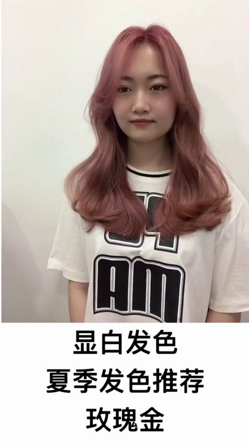 显眼包，显微镜
