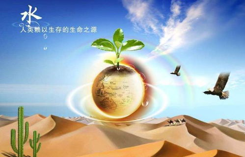 珍惜水资源的作文600字，珍惜水资源的作文400字
