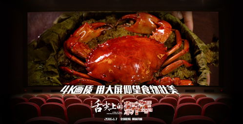 《舌尖上的新年》免费在线观看完整版高清,求百度网盘资源