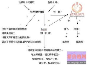怎样能够加快新陈代谢?