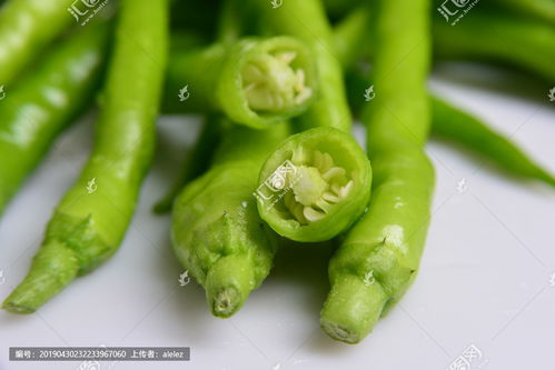 杭椒和二荆条，杭椒炒肉的家常做法