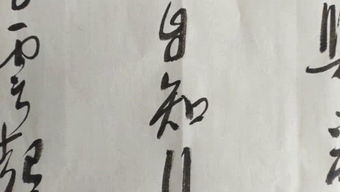 诗者根情苗言华声实义这一关于诗的定义是谁提出的，诗卉化妆品怎么样