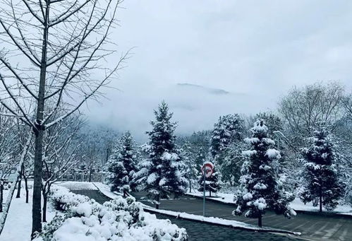 望雪山，忘雪第五关攻略