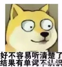 lose过去式