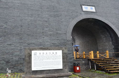 铁马秋风大散关的全诗内容是什么?