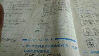 常常造句二年级，常常造句三年级