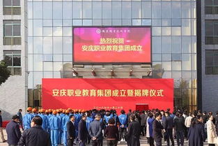 安庆教育网站，安庆教育网中考录取查询