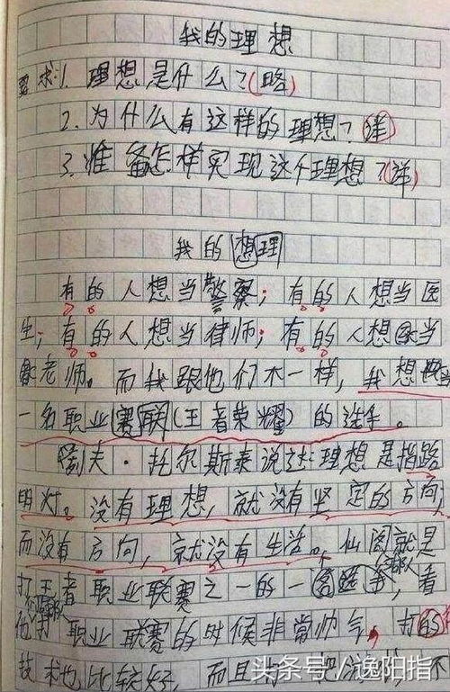 用国王啄木鸟黄昏星期天森林超市写个童话故事?