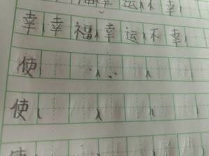 便的组词多音字，使的组词组