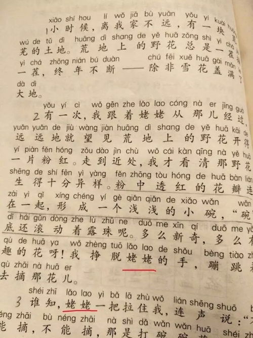 外婆拼音怎么拼写声调，外婆拼音怎么拼写读音