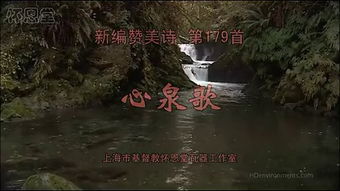 心泉优秀作文