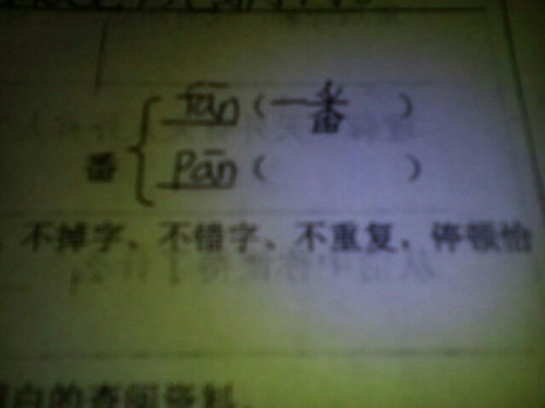 番组词,和拼音?