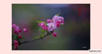 描写三月春风的句子