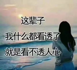 聚少离多的句子感言怎么写，聚少离多的短句