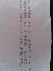 箪食瓢饮的意思
