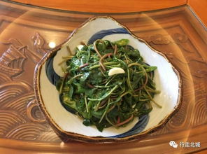 梦见蒲草根