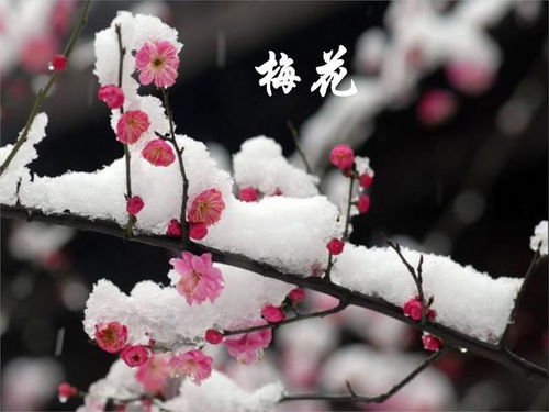成语信手拈来的意思，信手拈来的意思毫不费力