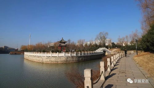 商丘市夏邑县天气大棚拆迁补偿标准