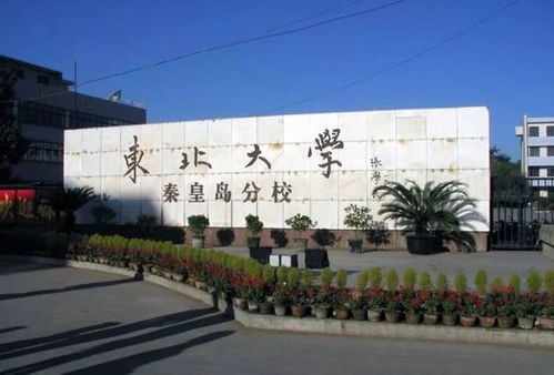 东北大学秦皇岛分校暑假图书馆自习室开放吗?