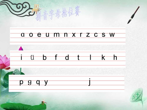 成员与组成是什么意思