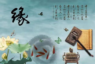 缘分的意思是什么?