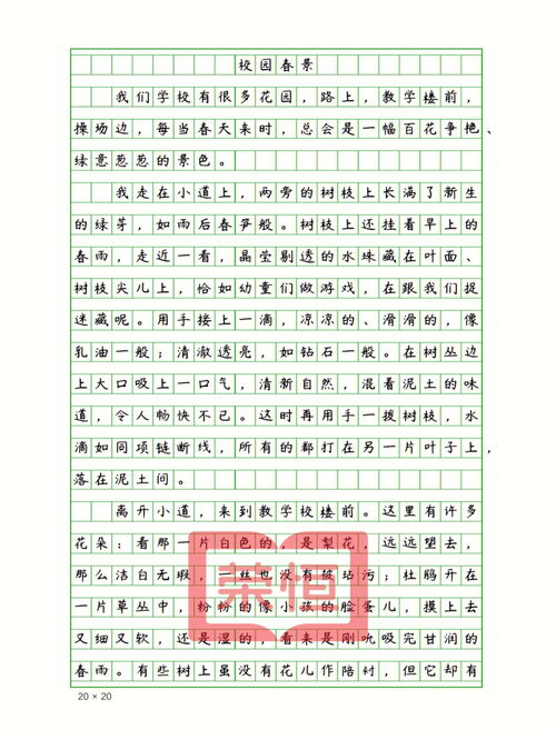 写春天的美景二年级作文600字