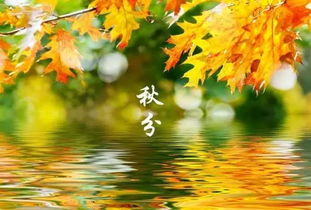 秋天是什么时候?