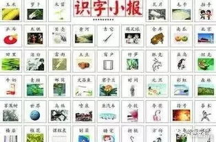 倡导拼音怎么写的拼，倡导拼音怎么写的拼音怎么读