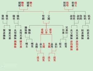 叔父拼音怎么读音发音，叔父怎么拼