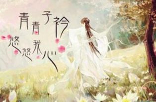 青青悠悠我心是什么意思，芊芊子衿悠悠我心是什么意思