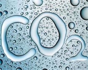 二氧和三氧?