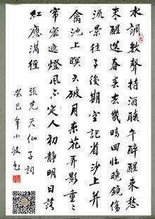 张先天仙子翻译，张先天仙子注音