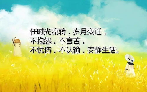 生活感悟经典句子简短