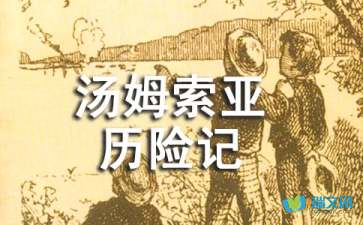 汤姆索亚历险记读书笔记图片，汤姆索亚历险记读书笔记第三章