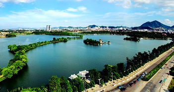 铜陵适合养什么花,市花和市树是什么