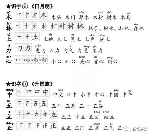 们的组词是一年级吗怎么写，们 的组词