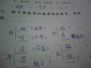 但可以组成哪些词语