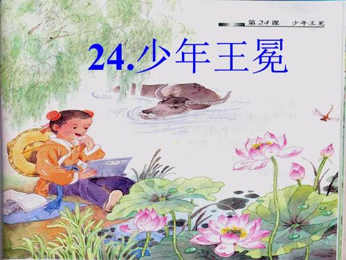 少年王冕是几年级的课文，少年王冕读后感